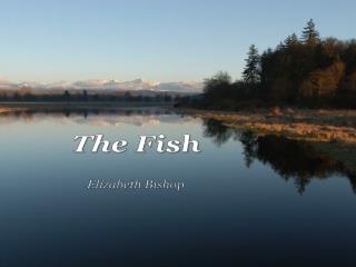 The Fish Elizabeth Bishop
