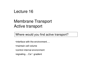 Where would you find active transport?