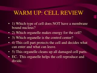 WARM UP: CELL REVIEW
