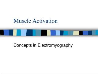 Muscle Activation
