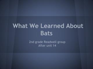 What We Learned About Bats