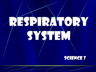 Respiratory System