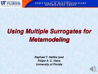 Using Multiple Surrogates for Metamodeling