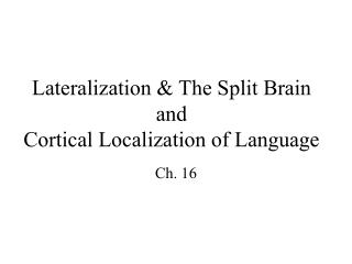 Lateralization & The Split Brain and Cortical Localization of Language