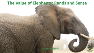 The Value of Elephants: Rands and Sense