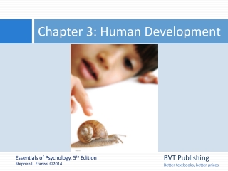Chapter 3: Human Development