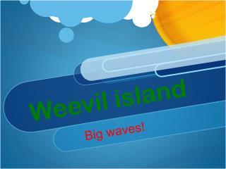 Weevil island