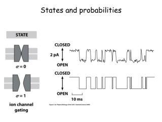 States and probabilities