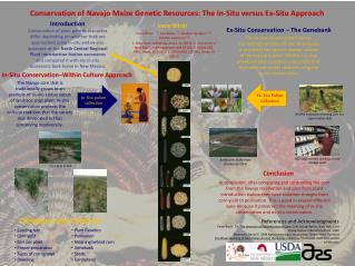 Conservation of Navajo Maize Genetic Resources: The In-Situ versus Ex-Situ Approach