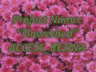 Pr oject Name: “Flowerbed” ACCESS_REZINA