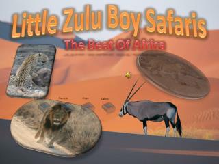 Little Zulu Boy Safaris