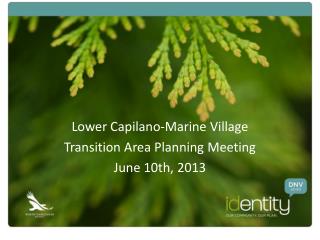 Lower Capilano-Marine Village Transition Area Planning Meeting June 10th, 2013