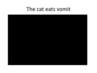 The cat eats vomit