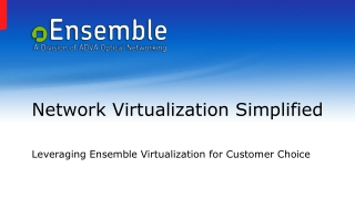 Network Virtualization Simplified