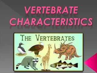 PPT - VERTEBRATE CHARACTERISTICS PowerPoint Presentation, free download - ID:2462670 PPT - VERTEBRATE CHARACTERISTICS PowerPoint Presentation, free download - ID:2462670