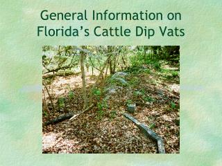 General Information on Florida’s Cattle Dip Vats
