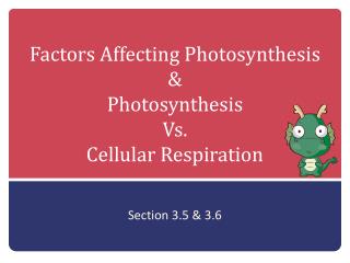 an experiment to determine different factors affecting the rate of photosynthesis an experiment to determine different factors affecting the rate of photosynthesis