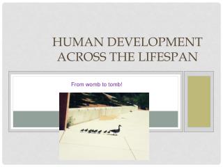 ece human developemnt across lifespan ece human developemnt across lifespan