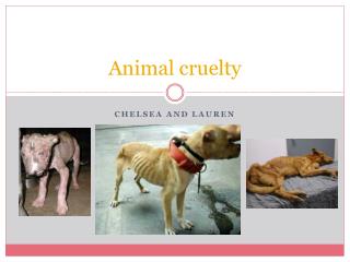 Animal cruelty