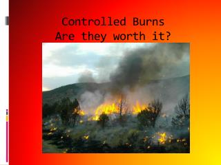 Controlled Burns Are they worth it?