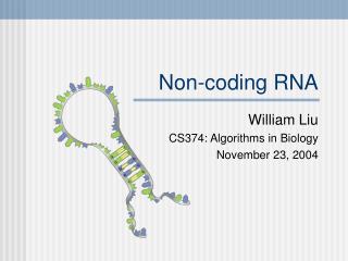 Non-coding RNA
