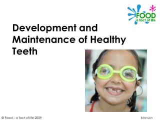Development and Maintenance of Healthy Teeth