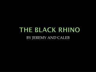 THE BLACK RHINO