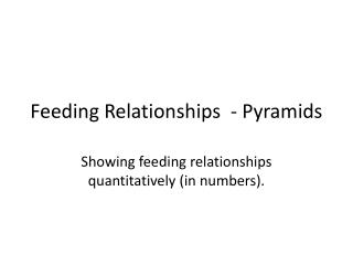 PPT - Feeding relationships in an ecosystem PowerPoint Presentation ...