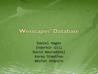 Wesscapes ’ Database