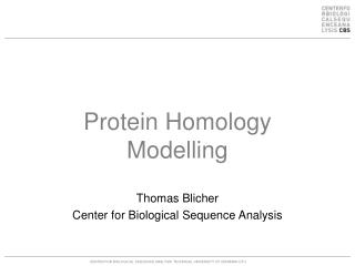 Protein Homology Modelling