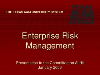 Enterprise Risk Management Presentation to the Committee on Audit January 2006