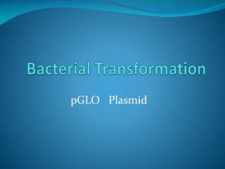 Bacterial Transformation