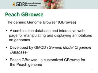 Peach GBrowse