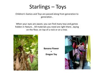Starlings – Toys