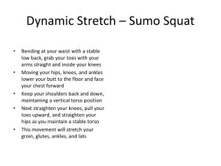 Dynamic Stretch – Sumo Squat