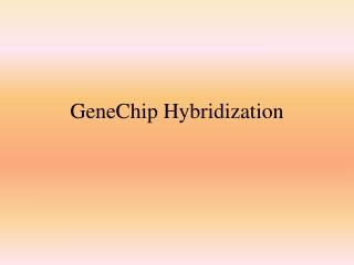 GeneChip Hybridization