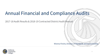 Annual Financial and Compliance Audits