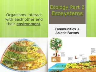 Ecology Part 2 Ecosystems