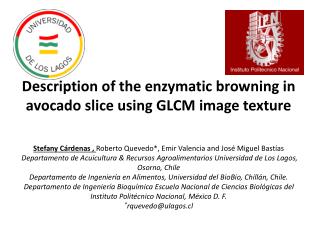 Description of the enzymatic browning in avocado slice using GLCM image texture