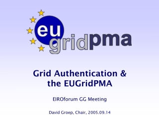 Grid Authentication & the EUGridPMA EIROforum GG Meeting David Groep, Chair, 2005.09.14