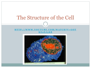 The Structure of the Cell
