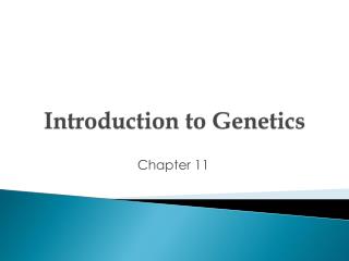 PPT - Introduction To Genetics PowerPoint Presentation, Free Download ...