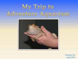 My Trip to Adventure Aquarium