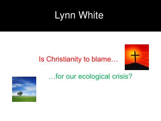 Lynn White