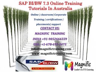 SAP BI/BW 7.3 Online Training Tutorials In Australia