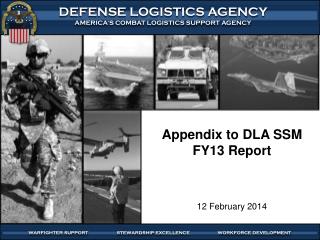 Appendix to DLA SSM FY13 Report