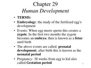 Chapter 29 Human Development