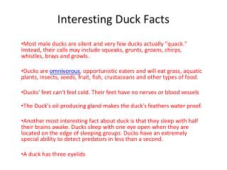 PPT - Interesting Duck Facts PowerPoint Presentation, free download ...