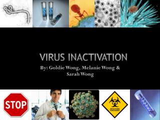 VIRUS INACTIVATION