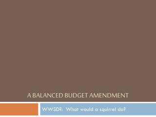A Balanced Budget Amendment